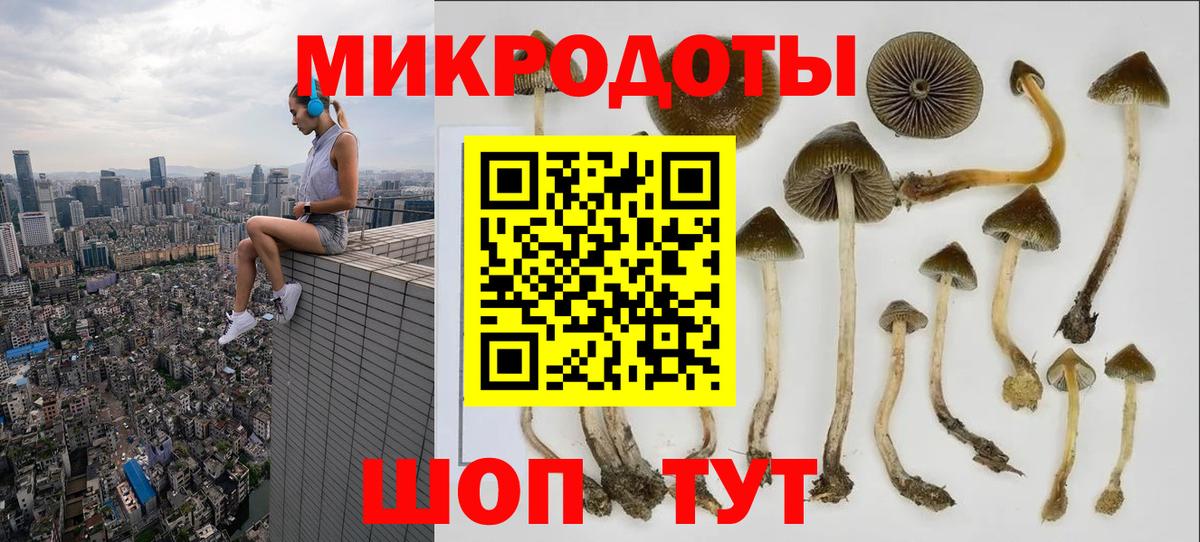 Галлюциногенные грибы мицелий Дзержинск